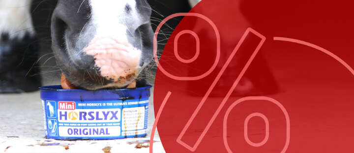 pferd leckt horslyx schale rabatt aktion 17001x740 (1)